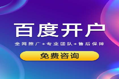 成功SEM推广竞价案例分享
